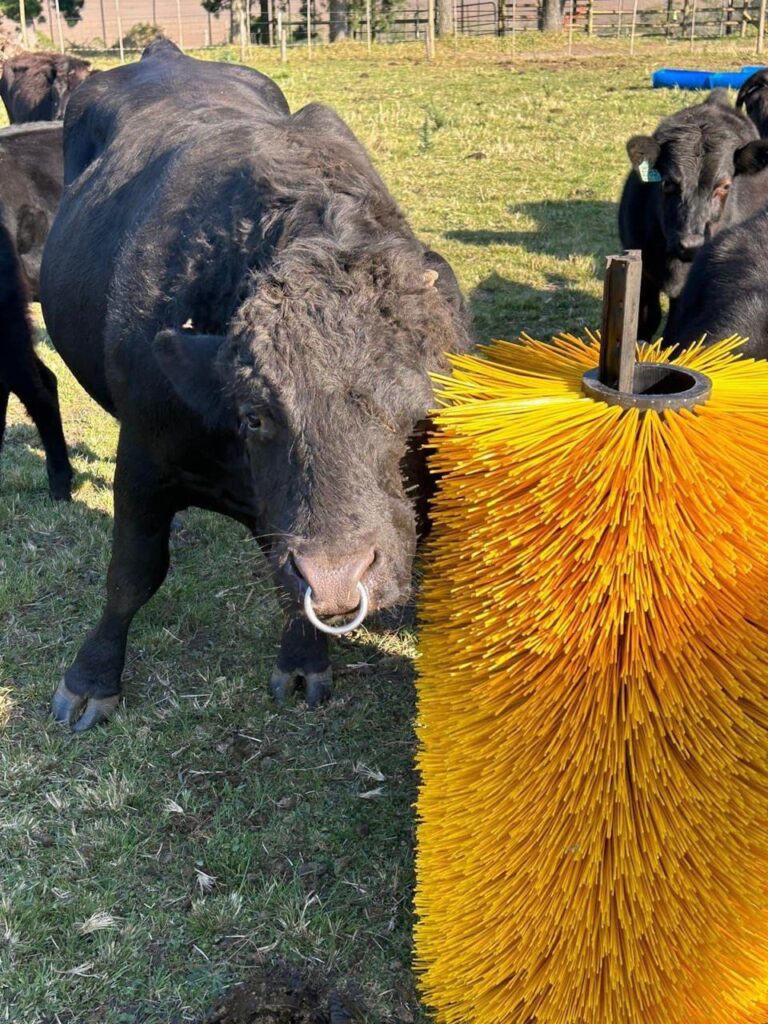 WhatsApp Image 2025-06-09 at 14.31.28_7b027b63